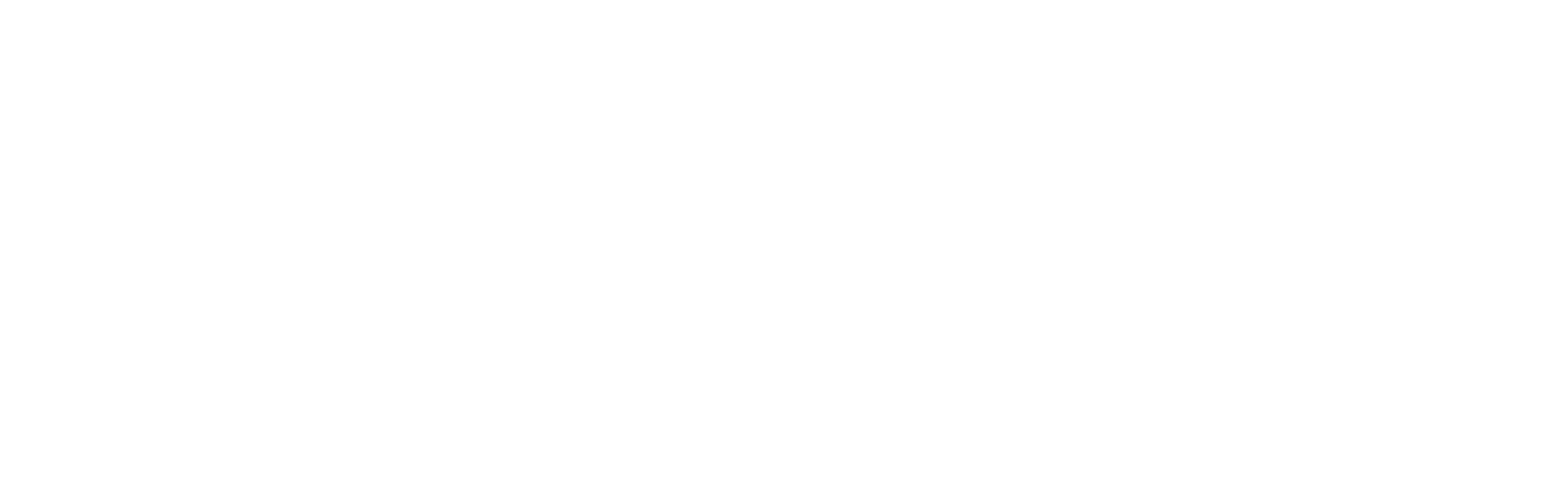 Sim Racing Nation